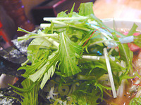 Gifu-Hakushin09mizuna