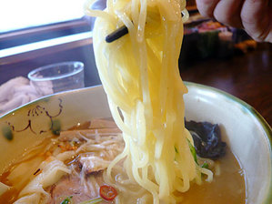 Niigata-Ichii10Sramen2