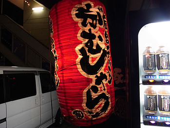 Nara-Ga11chochin