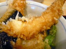Osaka-Yukino10donebi