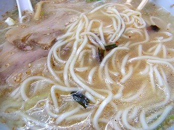 Akita-Negi11spicemen