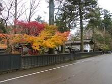 Akita-Tatekan2