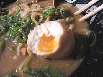Nara-Ga11egg