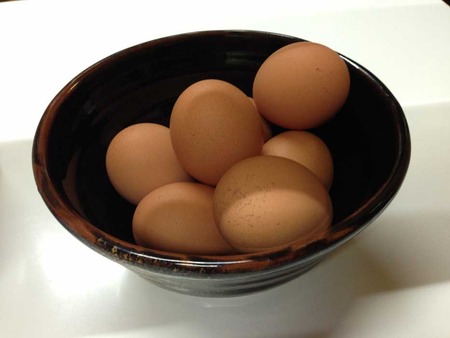 T-Tondai15egg