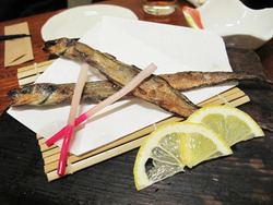 14幻魚(げんげ)@海の路