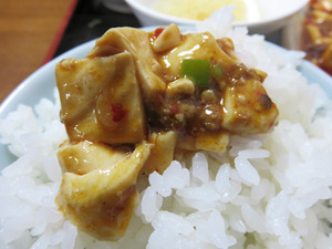 10麻婆丼