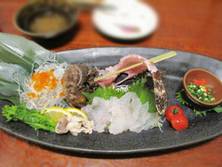 10虎魚(おこぜ)の活造り半身サイズ@海の路