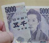 一葉は見た