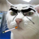 ¥´¥ë¤Ë¤ã¤ó