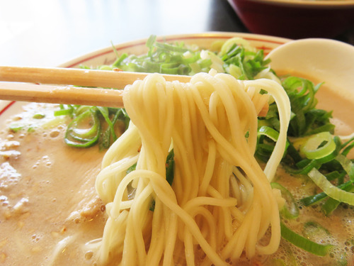 8くまちゃんラーメンこってり麺