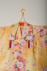 Home page kimono photo 033c