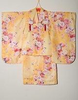 Home page kimono photo 030c