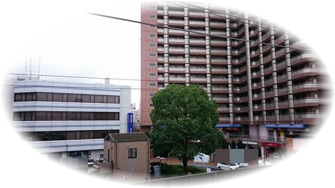 着付け教室平井駅からの風景