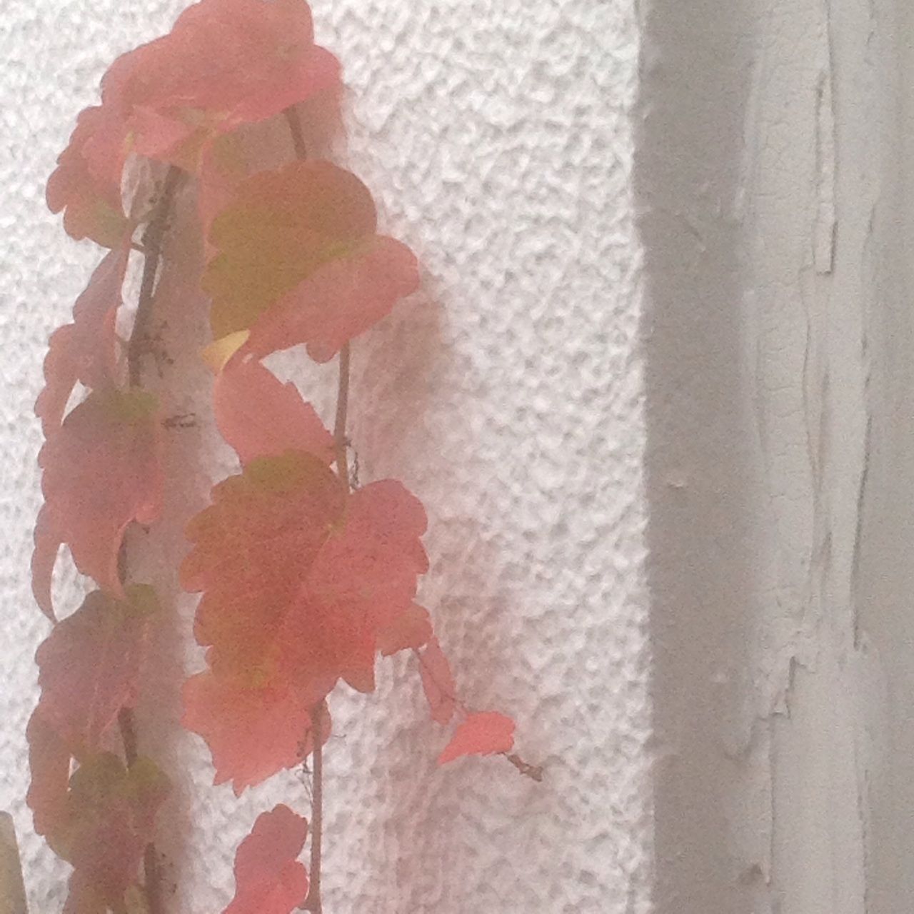 2014-11-25-08-49-43