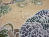 DSCF6741