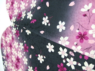 DSCF0022
