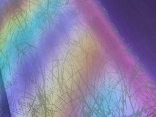 DSCF9446