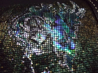 DSCF5639