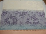DSCF5540