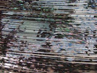 鯉