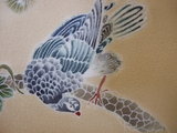 DSCF6723