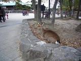 画像 019