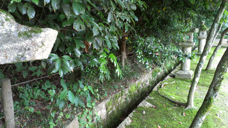IMAG0156