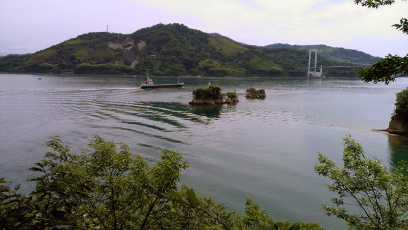 IMAG0195