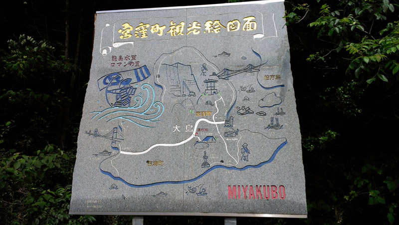 IMAG0199