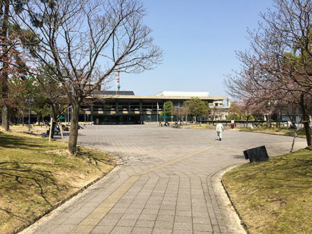 003