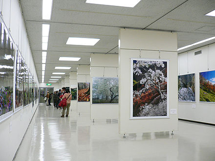 P1060316