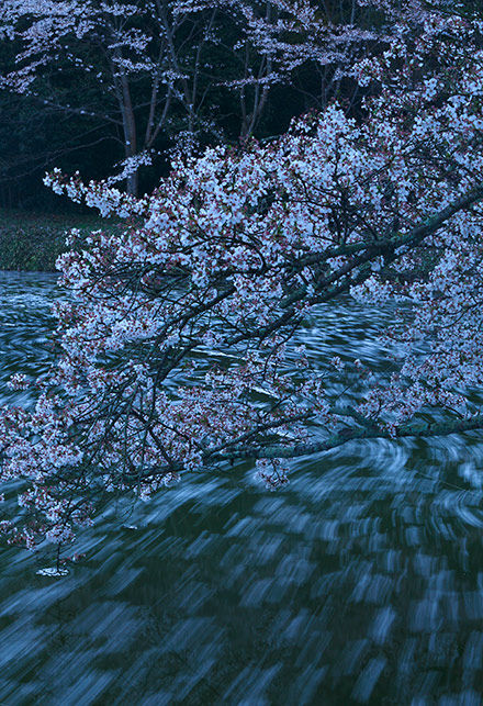 _36A7360