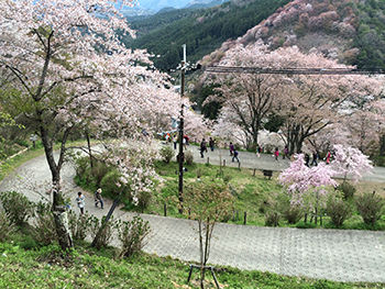 yoshinoyama