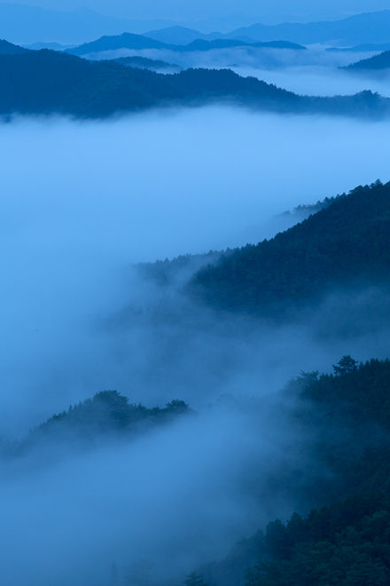 _36A6752