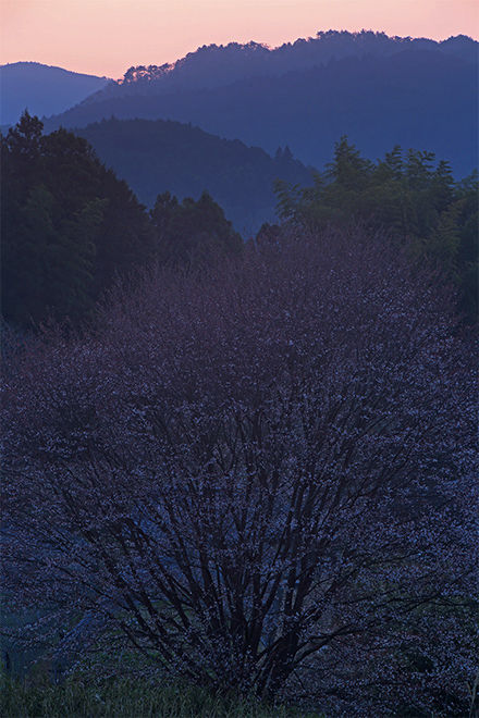 _36A4183
