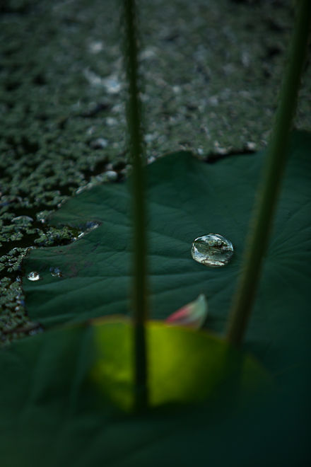 _36A7717