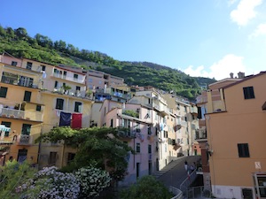 P1010046