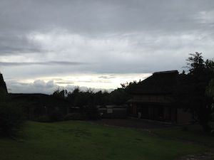 IMG_2492