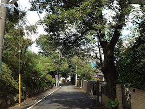 IMG_0435