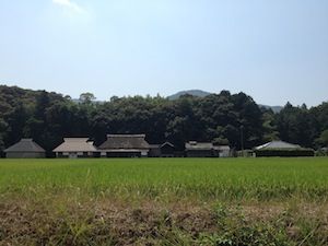 IMG_1105