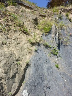 P1110199