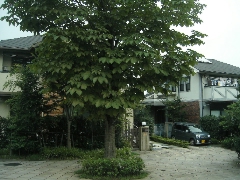 鹿島台-2