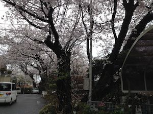 IMG_1840