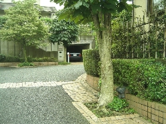 鹿島台54