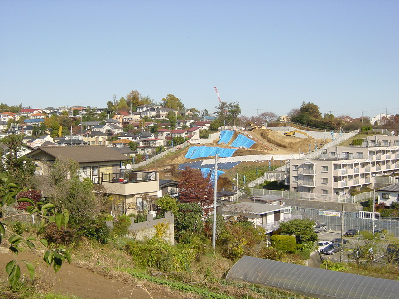 視察