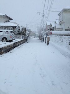 IMG_0686