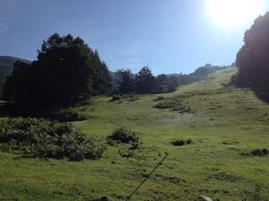 IMG_2497
