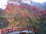 河鹿橋1