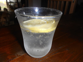 DSCN5274