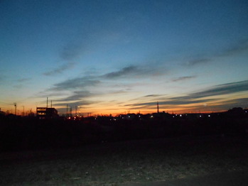 DSCN7184